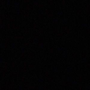 Meet your Posher, Scarlett